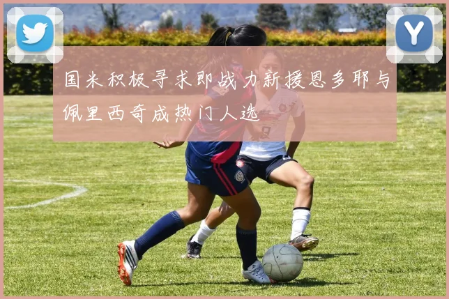 国米积极寻求即战力新援恩多耶与佩里西奇成热门人选