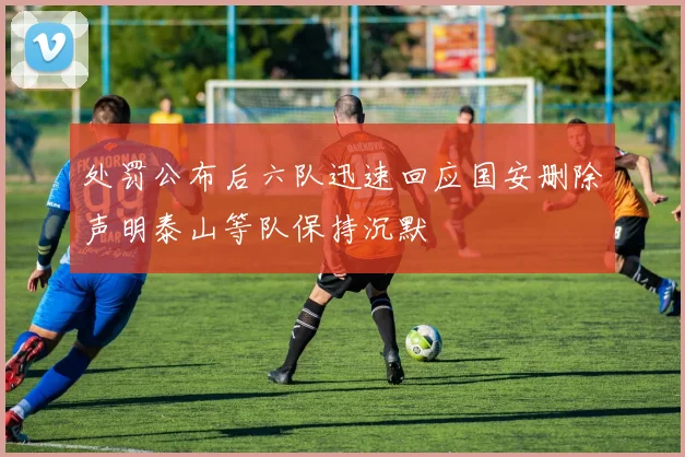 处罚公布后六队迅速回应国安删除声明泰山等队保持沉默